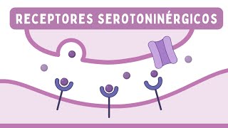 RECEPTORES SEROTONINÉRGICOS: Efectos, Agonistas y Antagonistas | Farmacología