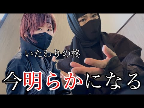 総合政策学科 徳川家康と服部半蔵忍者隊いたわりの柊の秘密