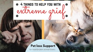 4 Ways to cope with extreme grief (pet loss my pet died)