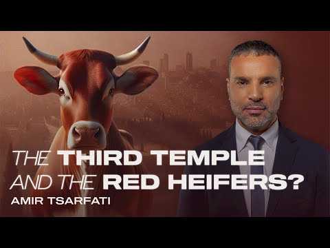 Amir Tsarfati: The Third Temple & Red Heifers?