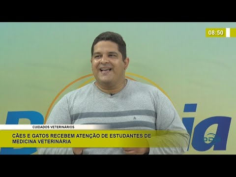 Estudantes e Médicos Veterniários abordam prevenção ao câncer em animais abandonados 12 01 2021