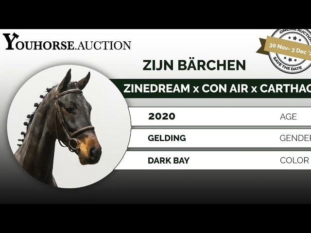 Zijn Bärchen first course under the saddle