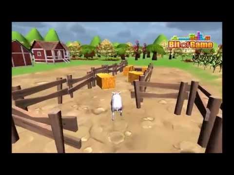 Pig Parking Video