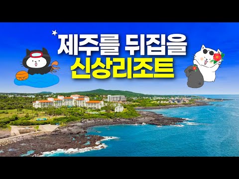 제주 여행 핵심 팁: 숨은 마피아까지 총정리!