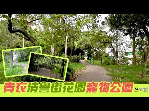 【十八區狗公園】青衣清譽街花園寵物公園｜毛城城 MoCity