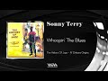 Sonny Terry - Woopin`the Blues