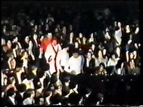 Box On - unlicensed fight documentary