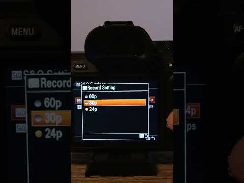 S&Q in Sony Cameras: What is It and How to Use It?