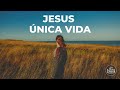 JESUS ÚNICA VIDA Davis Oliveira