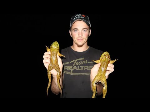 Hunting Frogs | Catch,Clean,Cook