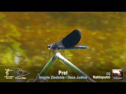 Dace Judina, Arturs Nīmanis - Pret (savu tautasdziesmu)