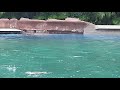 Dolphin Nursery Seaworld 2021