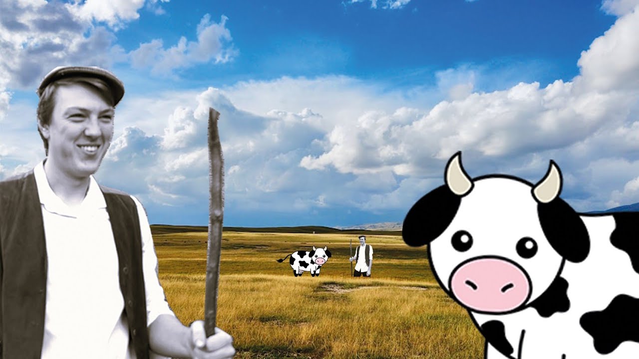 Have farmers destroyed all our hedges?