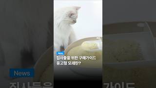테비토퍼 하리노 키티 4L (3개)_동영상_이미지