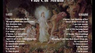 Vide Cor Meum - original libretto in Italian / latin with translation.