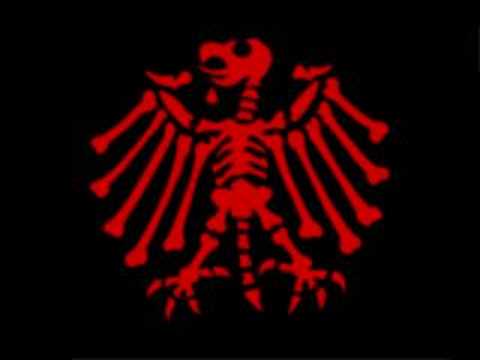 Wir würden niemals zu den Toten Hosen gehen!