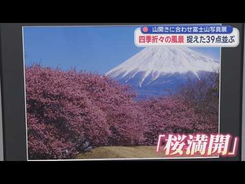 YouTube Video 山開きに合わせ富士山写真展　雪化粧や桜満開…四季折々の表情を堪能　静岡・富士市
