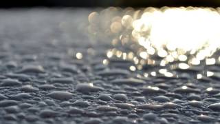 The world glows in the early morning light.