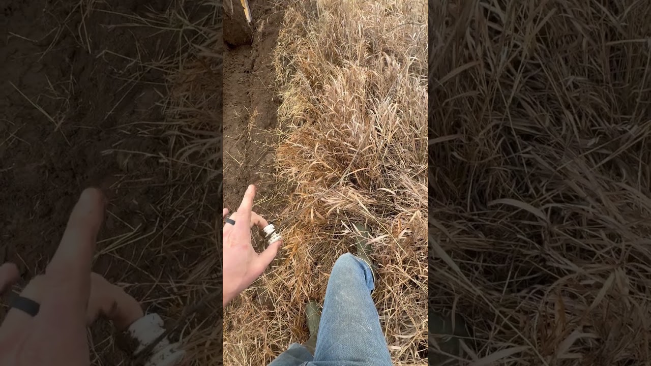 It’s always something! Follow on Instagram for more fun and learning how to farm!