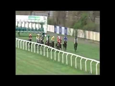 Prince Orpen -  Velká Chuchle (6.4.2014 III. kategorie 1400 metrů 1. místo)