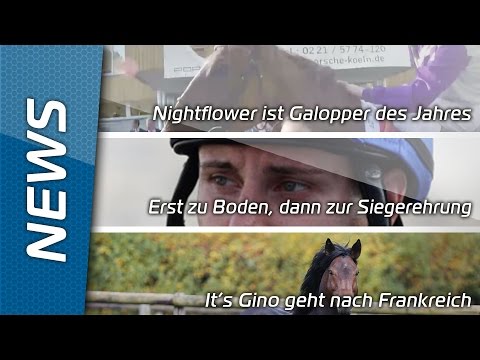 Sport-Welt TV News | 29.01.2016 | Nightflower ist Galopper des Jahres