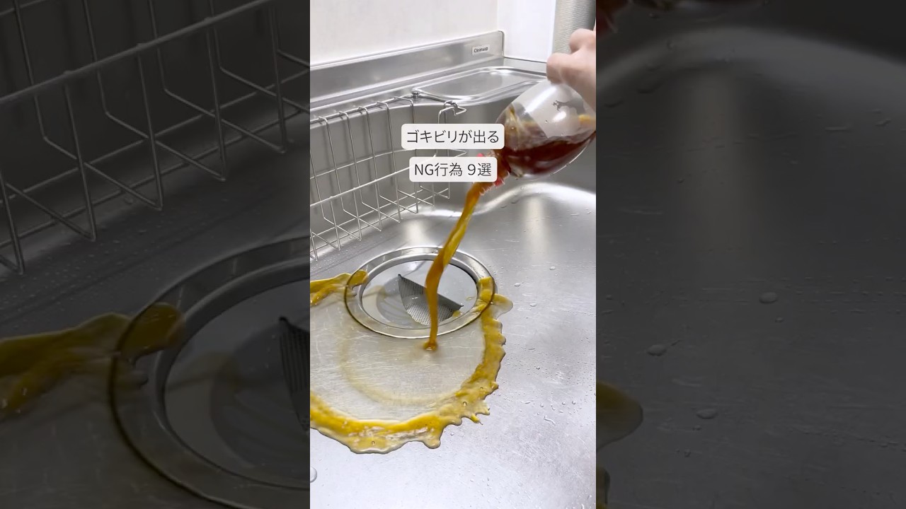 【Ｇを呼ぶNＧ行為9選】 #掃除 #虫対策 #暮らしの知恵