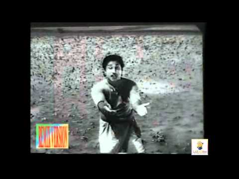 Manaparai Maadu katti Remix Song