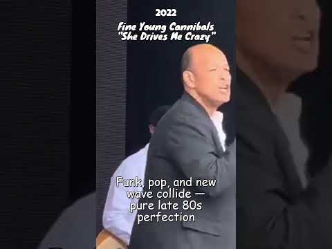 Fine Young Cannibals – She Drives Me Crazy | The Funky Side of New Wave 🔥 (80s Classic) #newwave