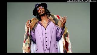 Snoop Dogg - A Bitch I Knew (Ft Traci Nelson)
