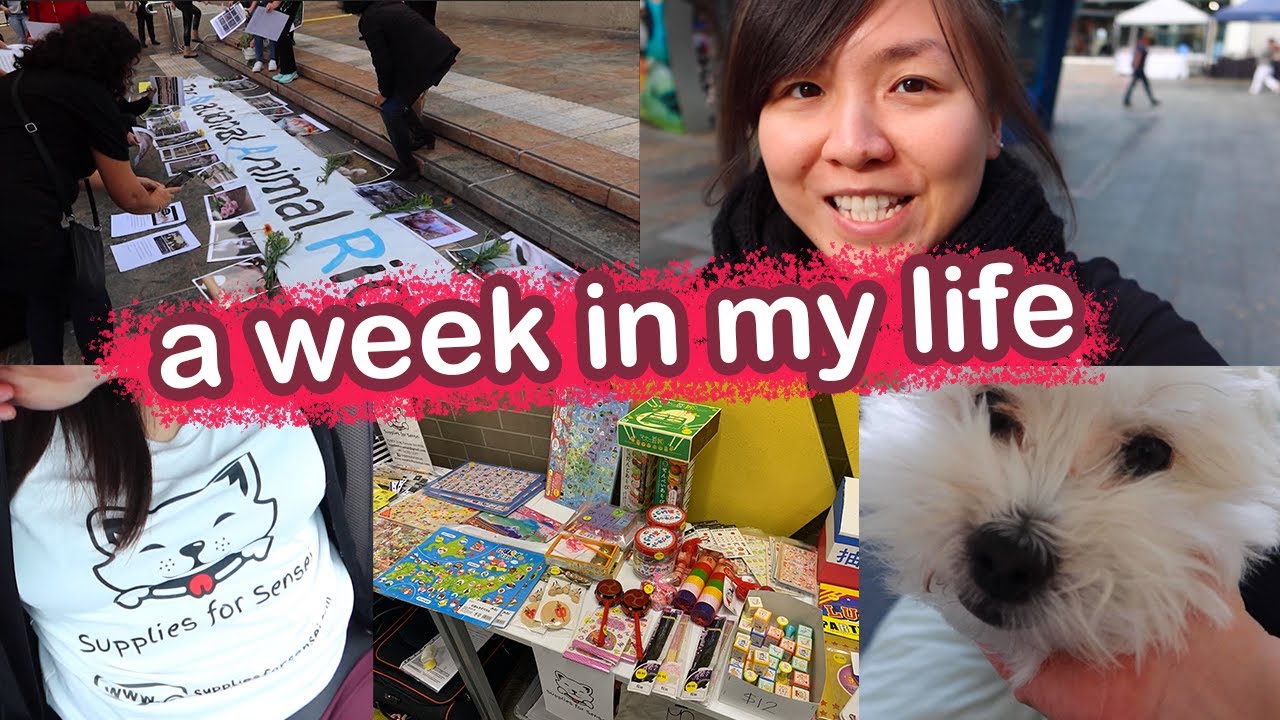 weekly vlog | existential crisis, protests & birthdays