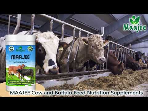 Cow and Buffalo  Nutrition feed Supplement
