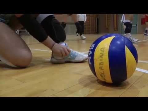 Volley Celadina l'Essenza 2014-2015