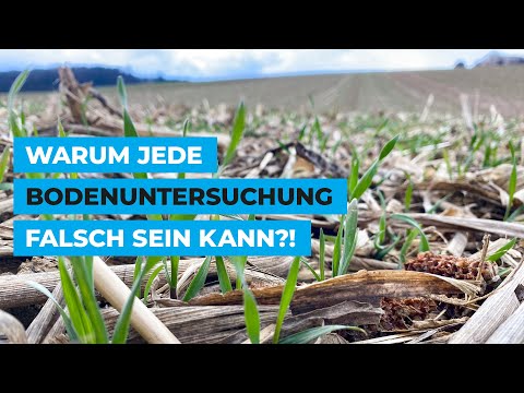 Warum jede Bodenuntersuchung falsch sein kann?!