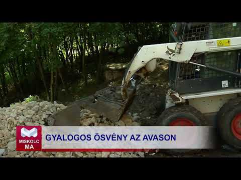 Videó előnézet