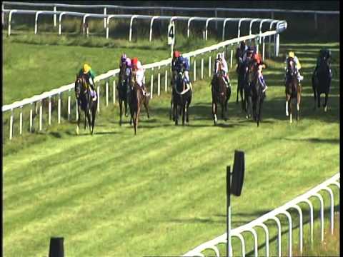 Galopprennbahn Dresden - 02.08.2014 - 5.Rennen