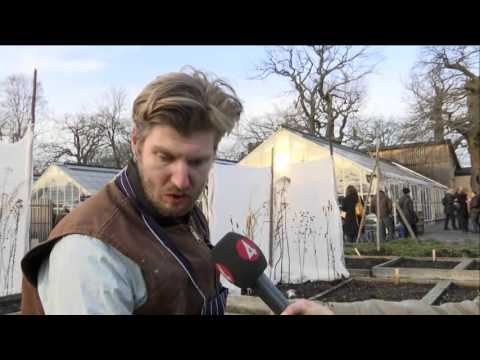 Värmerekord i juletider! - Nyheterna (TV4)