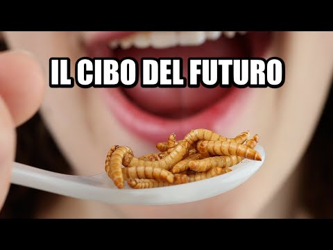 Il Cibo Del Futuro? INSETTI