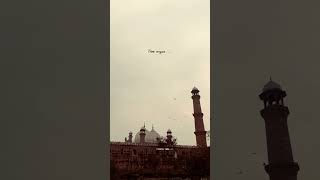 Download lagu Sotta Sotta | lyrical Vibe 🦋 | Taj Mahal | A.R.Rahman | #tamilwhatsappstatus #support #lyricvideo mp3 Download lagu Sotta Sotta | lyrical Vibe 🦋 | Taj Mahal | A.R.Rahman | #tamilwhatsappstatus #support #lyricvideo mp3