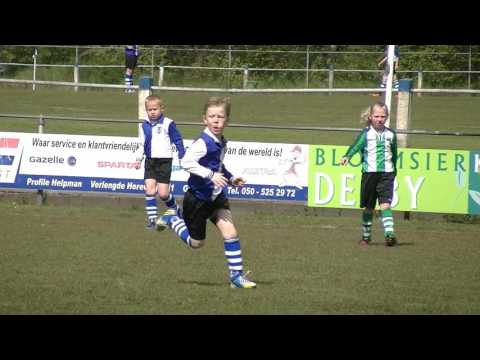 Helpman JO9-8 - HFC ’15 JO9-8