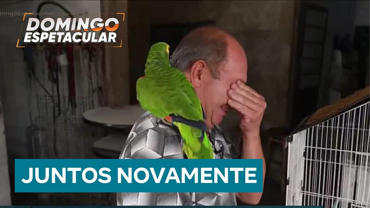 Homem ganha na Justiça direito de manter papagaio com o qual convive há 40 anos
