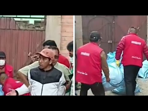 Hallan 600 vizcachas muertas en Oruro