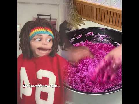 Explore more! Click to go to the homepage and discover your next surprise! (3)