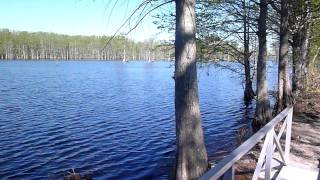 preview picture of video 'Rhodes Pond, State Lake'
