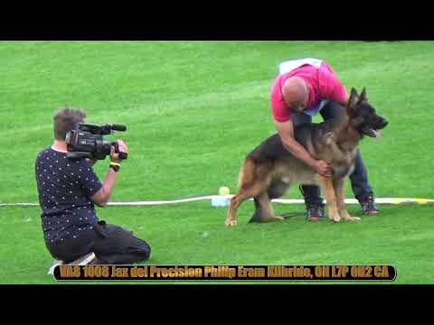 2018 SV BSZS in Nurnberg Sunday part 12 GHKR awards