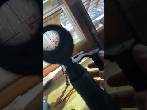 Hammerli Arms Force B1 |  A better Ruger 10/22?