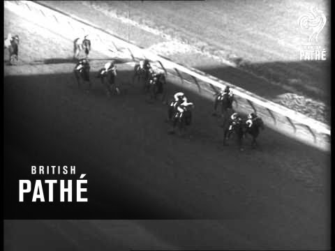 Turf Thriller - Wood Memorial Stakes (1962)