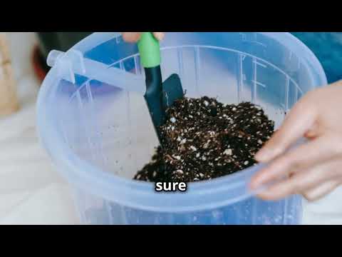 What Should I buy - Bagged Topsoil, Garden Soil or Potting Mix? Get The Facts Here