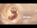 1 Hour Mozart Effect Relaxing High Frequency Classical Music For Unborn Babies I Pregnancy Music