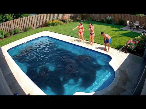 That Really Happened in People's Backyards
