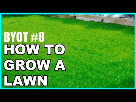 download lagu mp3 mp4 Garden Lawn Designs, download lagu Garden Lawn Designs gratis, unduh video klip Garden Lawn Designs